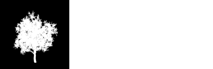 openFocus